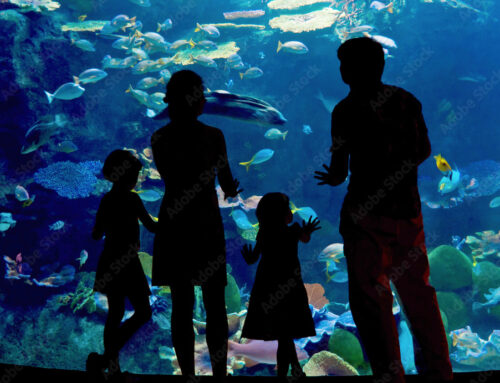 Aquarium of the Bay